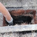 Grease Trap Problems in Seffner, Florida